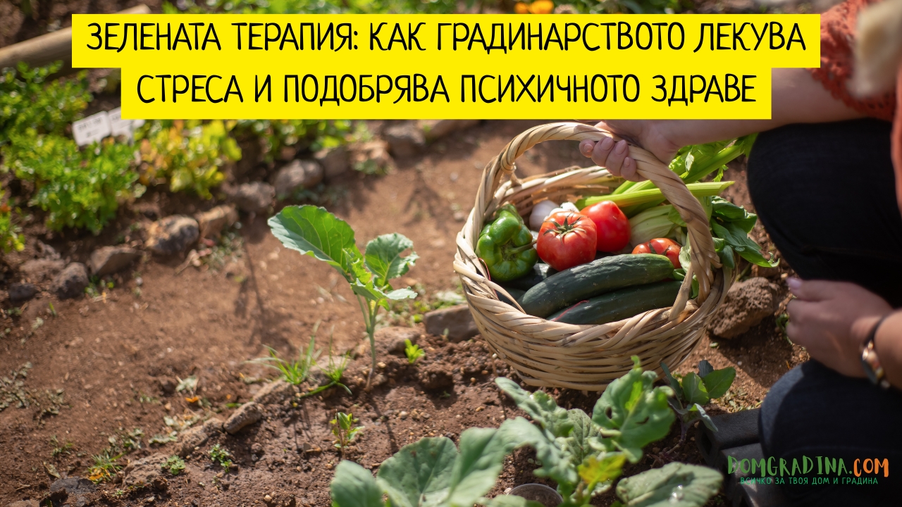 Градинарството: Изкуството да създаваш красота и хармония